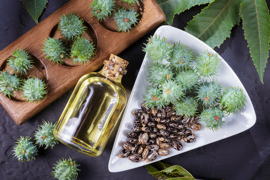Black Castor Oil