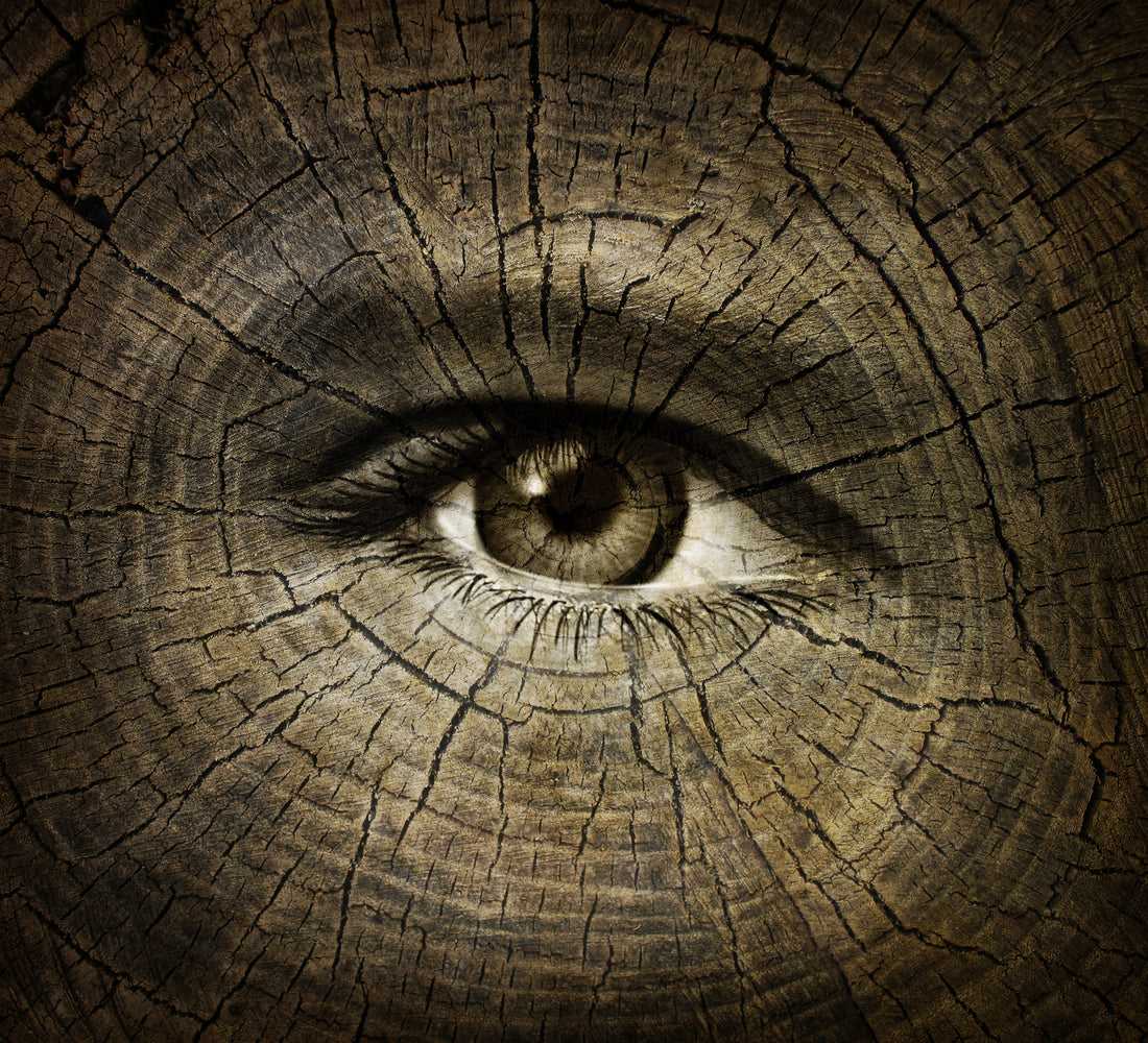 Premature Aging: Is It Out Of Your Control or Not?