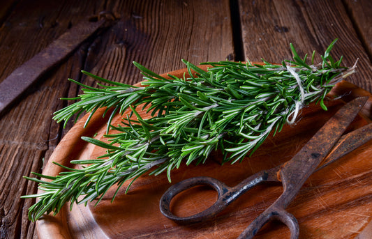 Rosemary